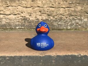 a picture of the blue high school of Dundee rubber ducks