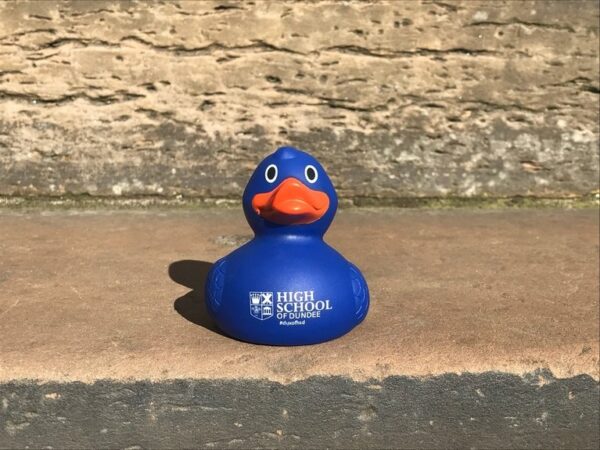 a picture of the blue high school of Dundee rubber ducks