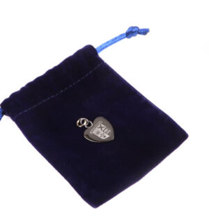 a picture of the high school of Dundee bracelet charm