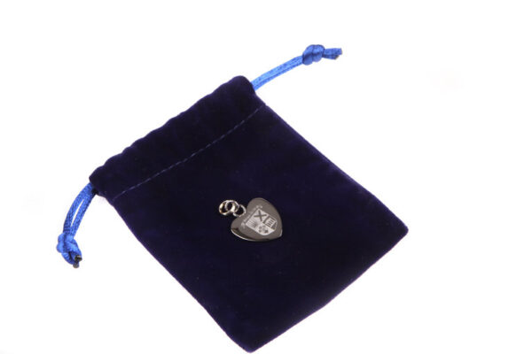 a picture of the high school of Dundee bracelet charm