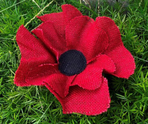 a picture of a artificial rose on the grass