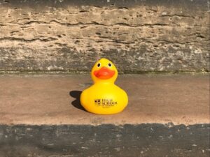 a picture of the yellow high school of Dundee rubber duck