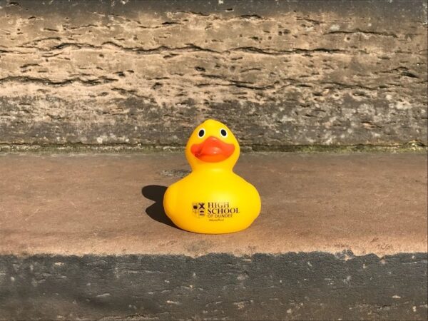 a picture of the yellow high school of Dundee rubber duck