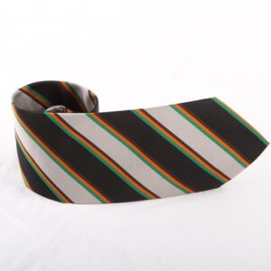 a picture of the high school of Dundee tie
