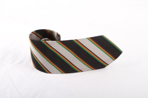 a picture of the high school of Dundee tie